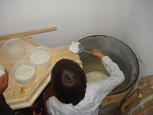 Preparazione del formaggio